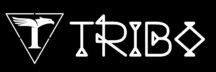 Tribo Wear